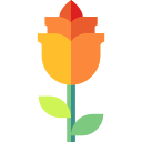 rosa icon