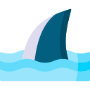 tiburón