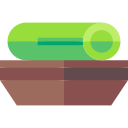 pepino icon