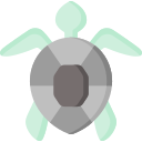 tortuga icon