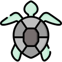 tortuga