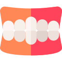 dentadura icon