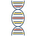 Dna structure 