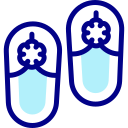 zapatos icon