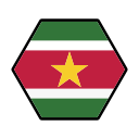 surinam icon