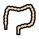 intestino icon