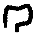Intestine 