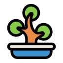 bonsai icon