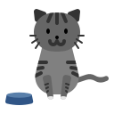 gato icon