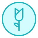 rosa icon