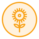 girasol icon