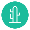 cactus icon