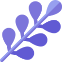 lavanda icon