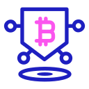 bitcoin icon