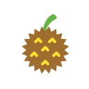 durian icon