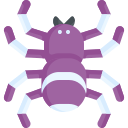 araña icon