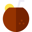 bebida de coco icon