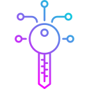 llave digital icon