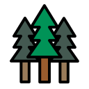 bosque icon