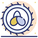 nido icon