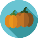 calabaza icon