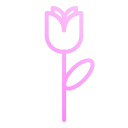 rosa icon