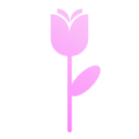 rosa icon