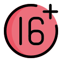 16 icon