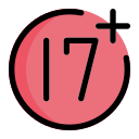 17 icon