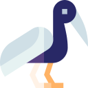 ibis 