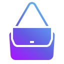 bolso icon