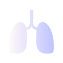 pulmones icon