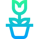 maceta icon