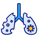 pulmones