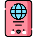 pasaporte icon