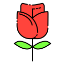 rosa icon