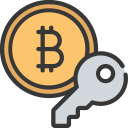 llave digital icon