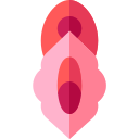 vagina icon