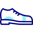 zapato icon