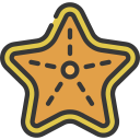 estrella de mar 