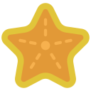 estrella de mar 