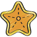 estrella de mar