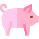 cerdo icon