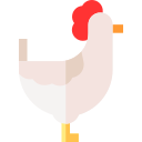 pollo icon