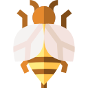 abeja