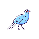 pájaro icon