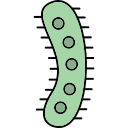 bacterias icon