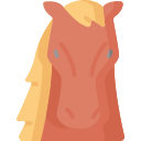 caballo icon