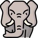 elefante