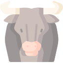 toro icon